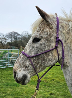 Correctly Fitting Rope Halter
